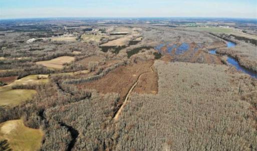 Photo of UNDER CONTRACT!!  660 Acres of Hunting and Timber Land For Sale in Pitt County NC!