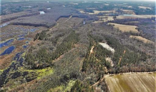 Photo of UNDER CONTRACT!!  660 Acres of Hunting and Timber Land For Sale in Pitt County NC!
