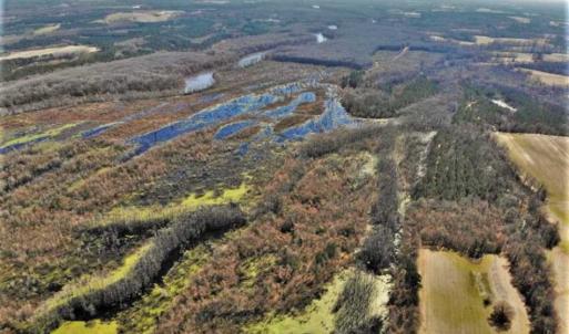 Photo of UNDER CONTRACT!!  660 Acres of Hunting and Timber Land For Sale in Pitt County NC!