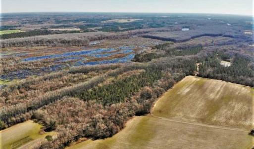 Photo of UNDER CONTRACT!!  660 Acres of Hunting and Timber Land For Sale in Pitt County NC!