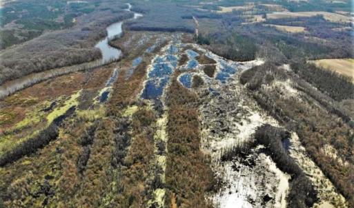 Photo of UNDER CONTRACT!!  660 Acres of Hunting and Timber Land For Sale in Pitt County NC!