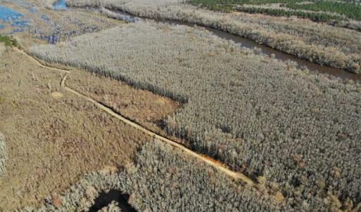 Photo of UNDER CONTRACT!!  660 Acres of Hunting and Timber Land For Sale in Pitt County NC!