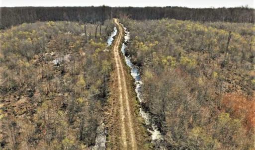 Photo of UNDER CONTRACT!!  660 Acres of Hunting and Timber Land For Sale in Pitt County NC!