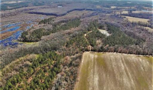 Photo of UNDER CONTRACT!!  660 Acres of Hunting and Timber Land For Sale in Pitt County NC!