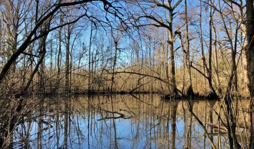 Photo of UNDER CONTRACT!!  660 Acres of Hunting and Timber Land For Sale in Pitt County NC!