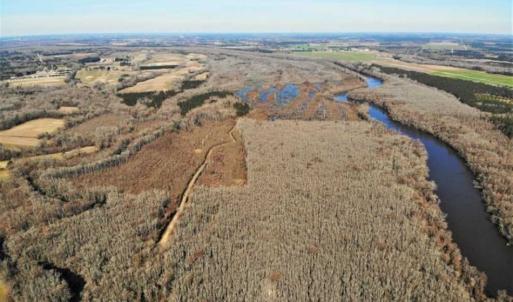Photo of UNDER CONTRACT!!  660 Acres of Hunting and Timber Land For Sale in Pitt County NC!
