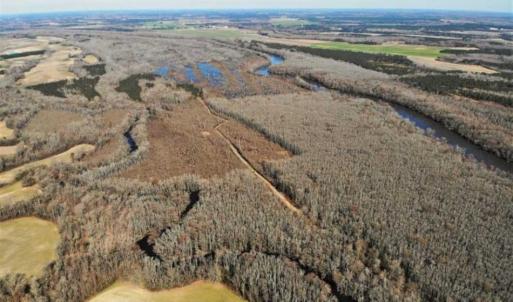 Photo of UNDER CONTRACT!!  660 Acres of Hunting and Timber Land For Sale in Pitt County NC!