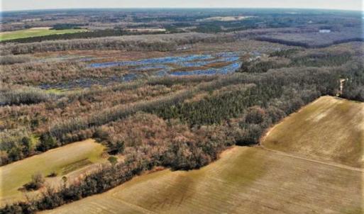 Photo of UNDER CONTRACT!!  660 Acres of Hunting and Timber Land For Sale in Pitt County NC!