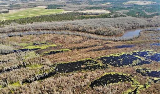 Photo of UNDER CONTRACT!!  660 Acres of Hunting and Timber Land For Sale in Pitt County NC!