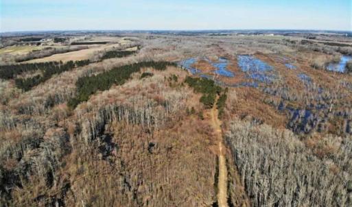 Photo of UNDER CONTRACT!!  660 Acres of Hunting and Timber Land For Sale in Pitt County NC!