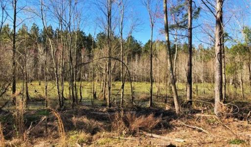 Photo of UNDER CONTRACT!!  660 Acres of Hunting and Timber Land For Sale in Pitt County NC!