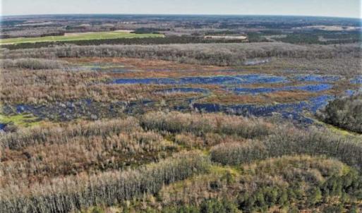 Photo of UNDER CONTRACT!!  660 Acres of Hunting and Timber Land For Sale in Pitt County NC!