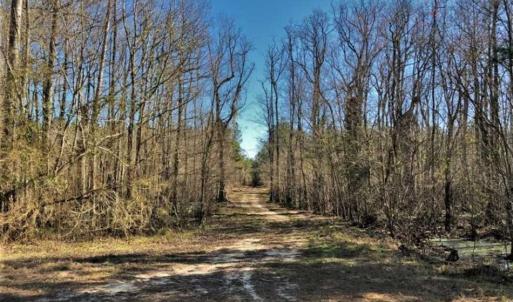 Photo of UNDER CONTRACT!!  660 Acres of Hunting and Timber Land For Sale in Pitt County NC!