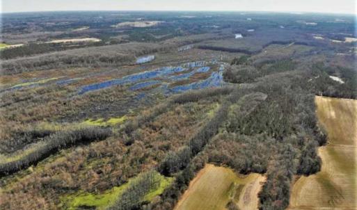 Photo of UNDER CONTRACT!!  660 Acres of Hunting and Timber Land For Sale in Pitt County NC!