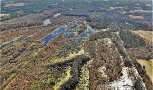 Photo of UNDER CONTRACT!!  660 Acres of Hunting and Timber Land For Sale in Pitt County NC!