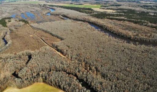 Photo of UNDER CONTRACT!!  660 Acres of Hunting and Timber Land For Sale in Pitt County NC!