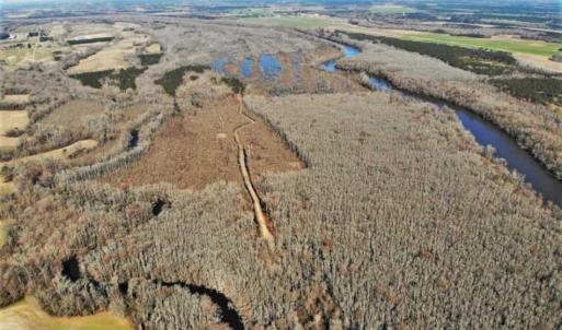 Photo of UNDER CONTRACT!!  660 Acres of Hunting and Timber Land For Sale in Pitt County NC!