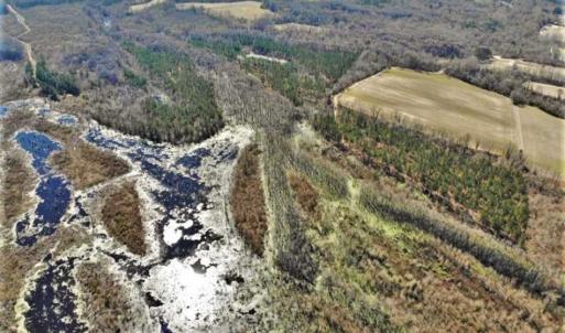 Photo of UNDER CONTRACT!!  660 Acres of Hunting and Timber Land For Sale in Pitt County NC!