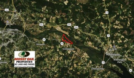 Photo of UNDER CONTRACT!!  660 Acres of Hunting and Timber Land For Sale in Pitt County NC!