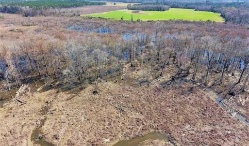 Photo of SOLD!!  172 Acres of Hunting Land For Sale in Craven County NC!