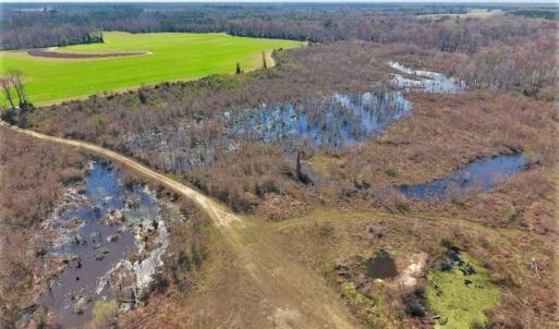Photo of SOLD!!  172 Acres of Hunting Land For Sale in Craven County NC!