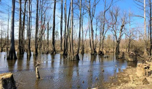 Photo of SOLD!!  172 Acres of Hunting Land For Sale in Craven County NC!