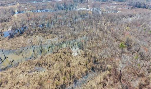 Photo of SOLD!!  172 Acres of Hunting Land For Sale in Craven County NC!
