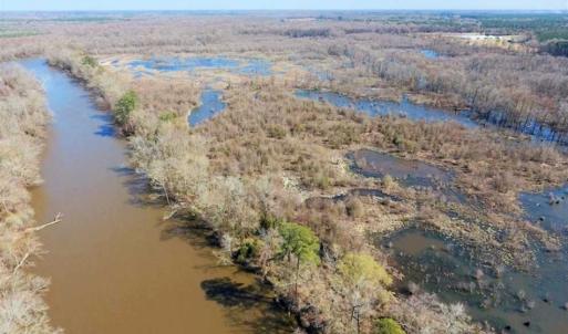 Photo of SOLD!!  172 Acres of Hunting Land For Sale in Craven County NC!
