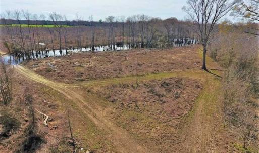Photo of SOLD!!  172 Acres of Hunting Land For Sale in Craven County NC!