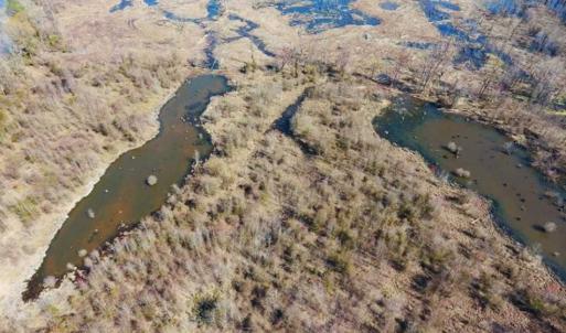 Photo of SOLD!!  172 Acres of Hunting Land For Sale in Craven County NC!