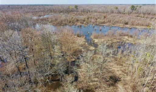 Photo of SOLD!!  172 Acres of Hunting Land For Sale in Craven County NC!