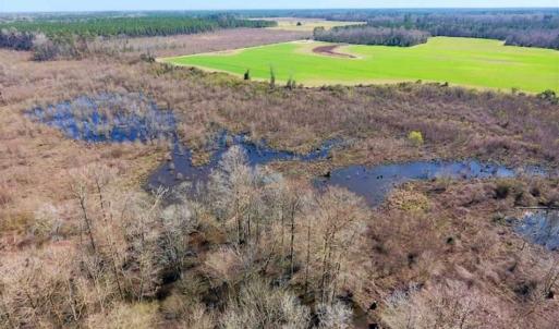 Photo of SOLD!!  172 Acres of Hunting Land For Sale in Craven County NC!