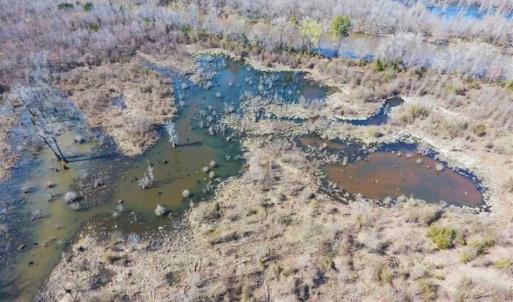 Photo of SOLD!!  172 Acres of Hunting Land For Sale in Craven County NC!