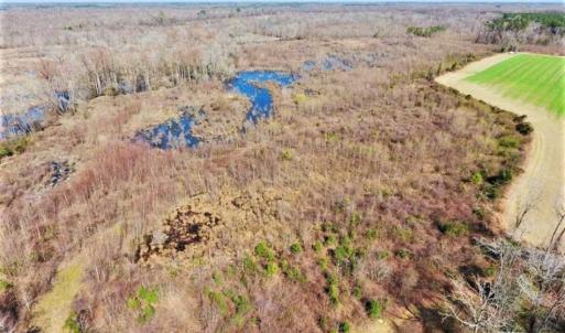 Photo of SOLD!!  172 Acres of Hunting Land For Sale in Craven County NC!