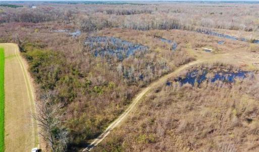 Photo of SOLD!!  172 Acres of Hunting Land For Sale in Craven County NC!