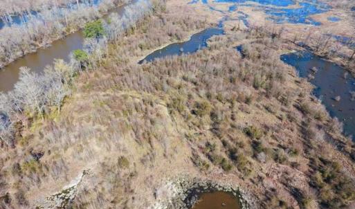 Photo of SOLD!!  172 Acres of Hunting Land For Sale in Craven County NC!