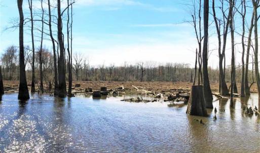 Photo of SOLD!!  172 Acres of Hunting Land For Sale in Craven County NC!