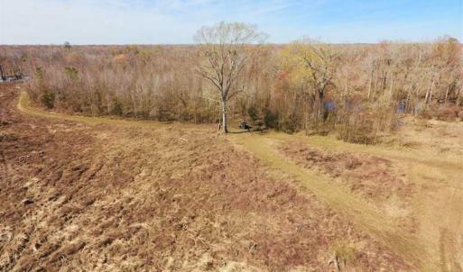 Photo of SOLD!!  172 Acres of Hunting Land For Sale in Craven County NC!