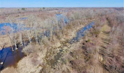 Photo of SOLD!!  172 Acres of Hunting Land For Sale in Craven County NC!