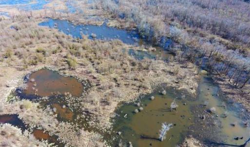 Photo of SOLD!!  172 Acres of Hunting Land For Sale in Craven County NC!