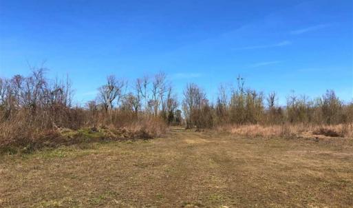 Photo of SOLD!!  172 Acres of Hunting Land For Sale in Craven County NC!
