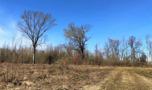 Photo of SOLD!!  172 Acres of Hunting Land For Sale in Craven County NC!