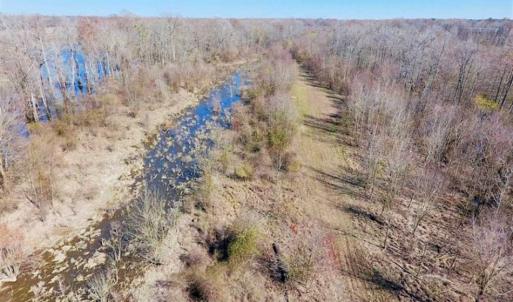 Photo of SOLD!!  172 Acres of Hunting Land For Sale in Craven County NC!