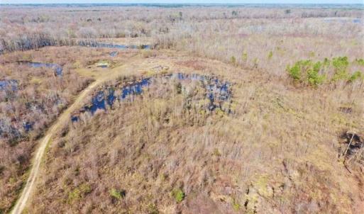 Photo of SOLD!!  172 Acres of Hunting Land For Sale in Craven County NC!