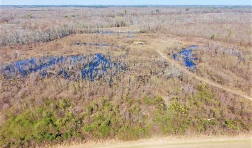 Photo of SOLD!!  172 Acres of Hunting Land For Sale in Craven County NC!
