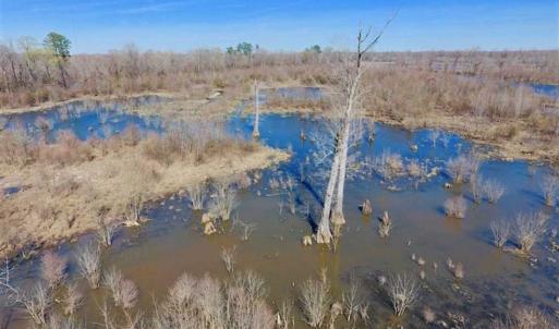Photo of SOLD!!  172 Acres of Hunting Land For Sale in Craven County NC!