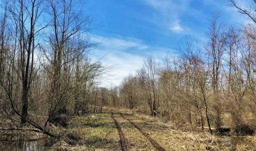 Photo of SOLD!!  172 Acres of Hunting Land For Sale in Craven County NC!