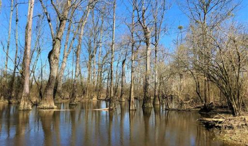 Photo of SOLD!!  172 Acres of Hunting Land For Sale in Craven County NC!