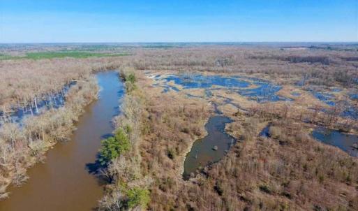 Photo of SOLD!!  172 Acres of Hunting Land For Sale in Craven County NC!