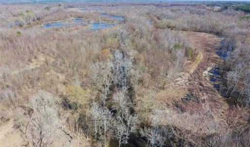 Photo of SOLD!!  172 Acres of Hunting Land For Sale in Craven County NC!